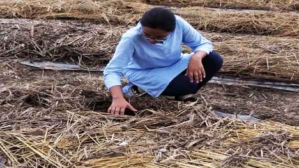 यट्यूब से मिला बिजनेस का ये आइडिया 