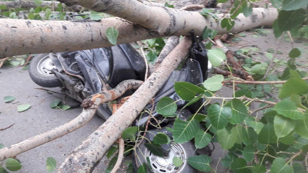 ससुराल से बुगाटी लौट रहे थे