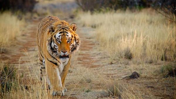 2022 था लक्ष्य