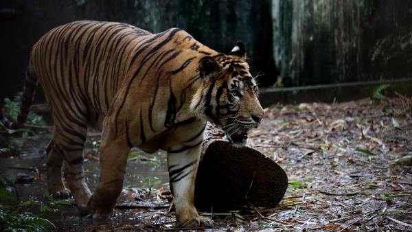 क्या है सर्वे में