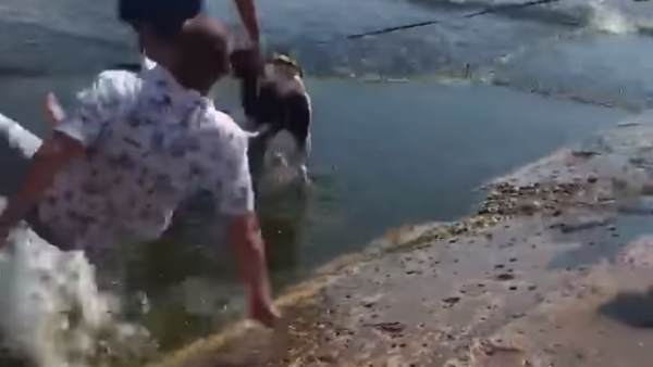 हजारों लोगों ने देखा वीडियो