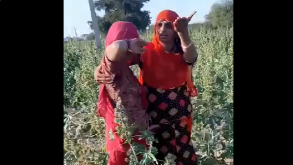 राजस्थान के मारवाड़ क्षेत्र की महिला किसान