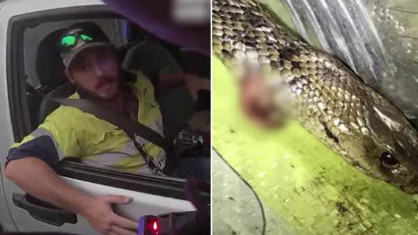 पैरों पर लिपटा दिखा सांप