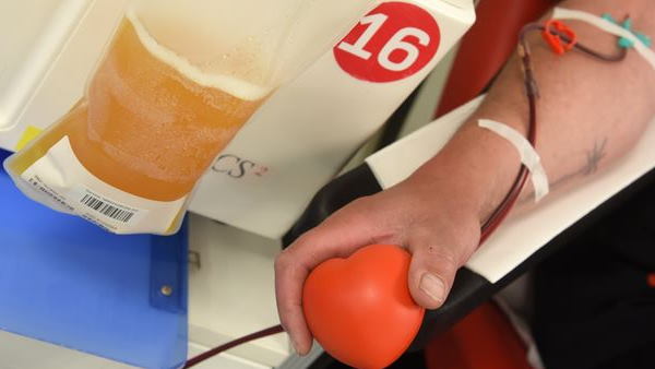 मैं किसी के काम आ रहा, इससे बड़ी खुशी क्या होगी