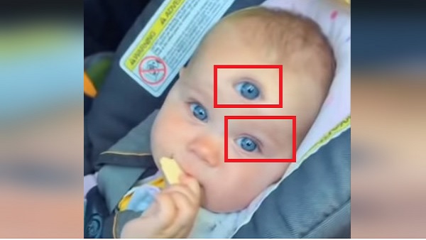 क्या है वीडियो की सच्चाई?