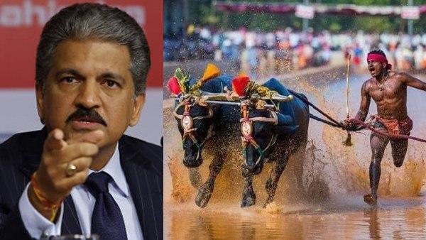 आनंद महिन्‍द्रा कंबाला जॉकी को ओलिंपिक में शामिल करने की थी पैरवी 