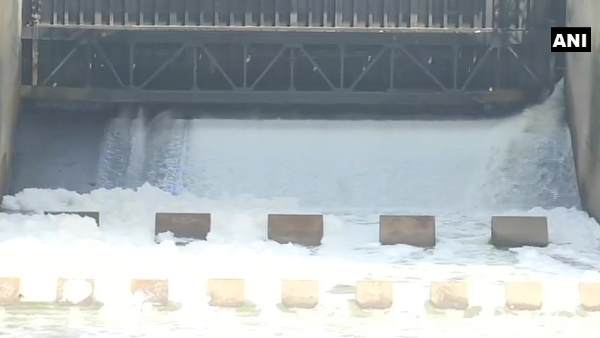 toxic foam in yamuna river, toxic foam, yamuna river, yamuna river toxi foam, lake froth, delhi, yamuna