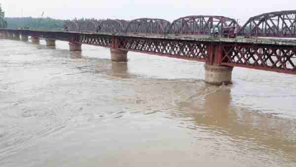 यमुना नदी में मगरमच्छ को छोड़ा