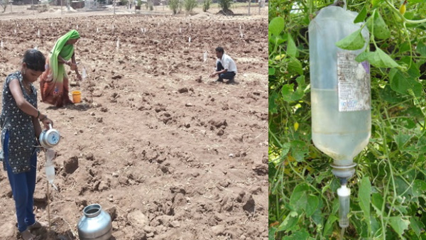 20 रुपए प्रतिकिलो के हिसाब से खरीदी बोतल