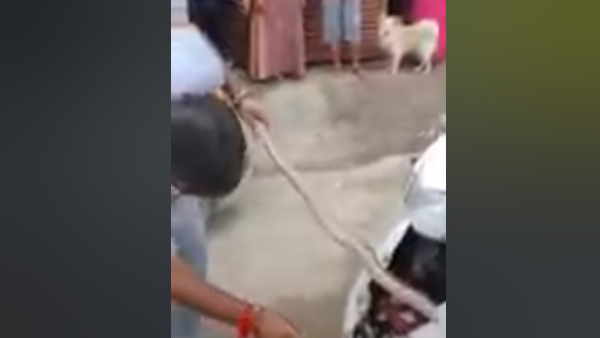 सर्पमित्र ने किया रेस्क्यू