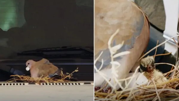 जीता लाखों लोगों का दिल