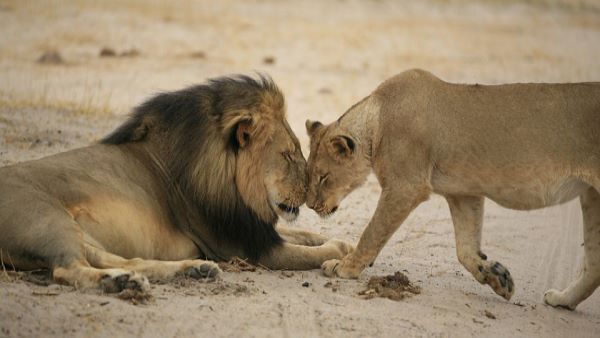 एक दिन में कितने समय तक सोता है? एक दिन में कितने समय तक सोता है?