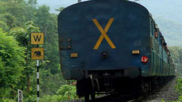 क्यों लिखा जाता है LV ? 