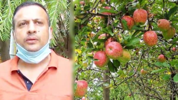 सात से आठ लाख रुपए सालान कमाई