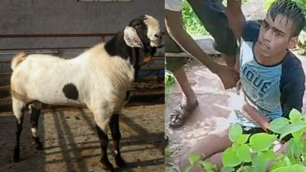 पत्थर के सहारे बैठा था लड़का पत्थर के सहारे बैठा था लड़का