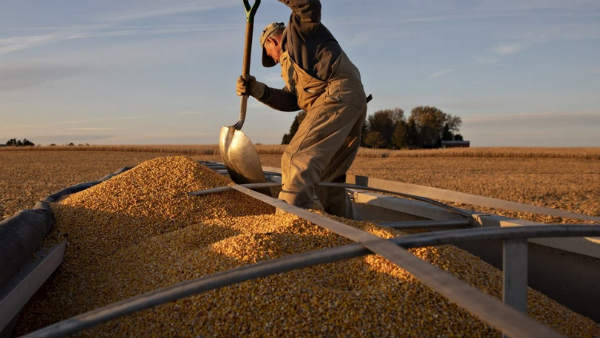 अब मिलेगा कम खाना 