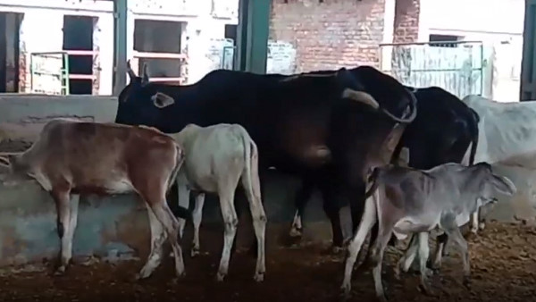 कितना खर्च हुआ तकनीक पर? कितना खर्च हुआ तकनीक पर?