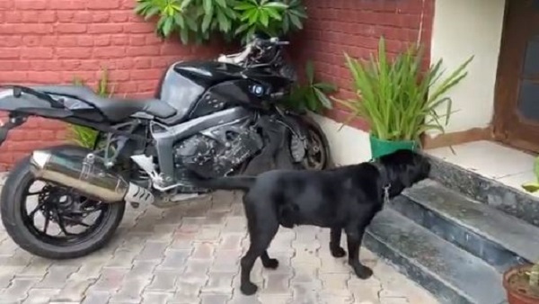 फज से सुशांत की थी जबर्दस्त बॉण्डिंग