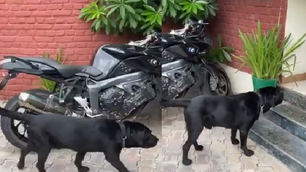 इमोशनल नजर आ रहा फज