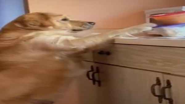 मुंह में एक बॉक्स रखता है, वैसे ही...