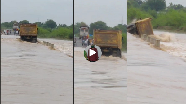 सोशल साइट्स पर वायरल हुआ वीडियो सोशल साइट्स पर वायरल हुआ वीडियो