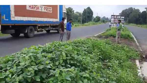 जानिए क्यों‍ की यहां खेती 