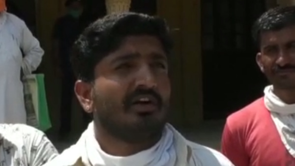  पहली बार एकसाथ ढाई सौ बकरियां गईं 