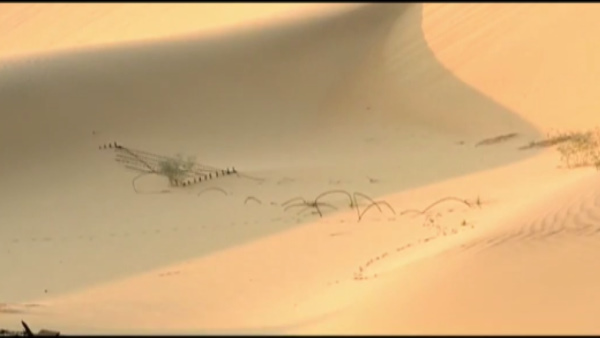  इनकी बकरियां गईं पाकिस्तान