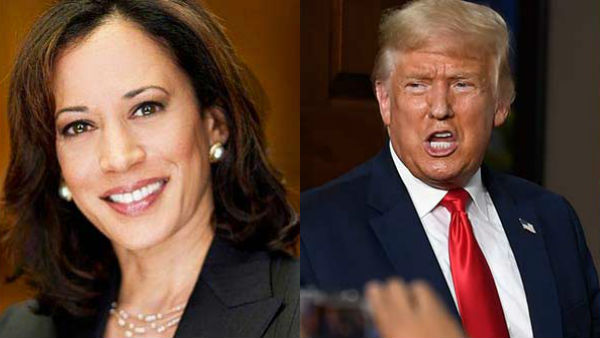 कमला हैरिस के उपराष्ट्रपति पद की दावेदारी से उड़ गई है ट्रंप की नींद