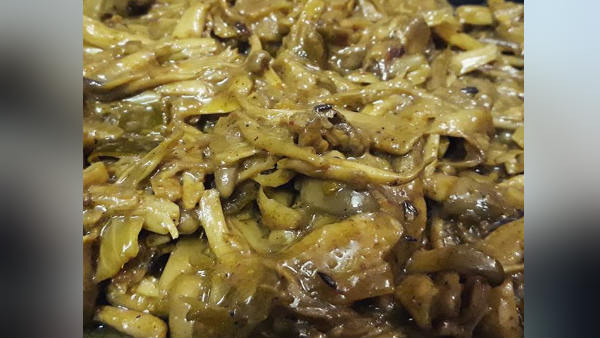 मशरूम की ही प्रजाति मशरूम की ही प्रजाति