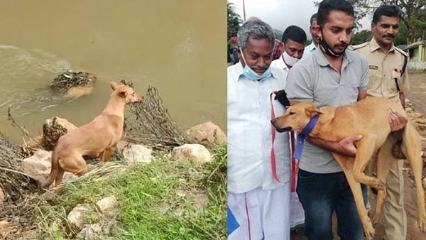 पुलिस ऑफिसर का पिघल गया दिल पुलिस ऑफिसर का पिघल गया दिल