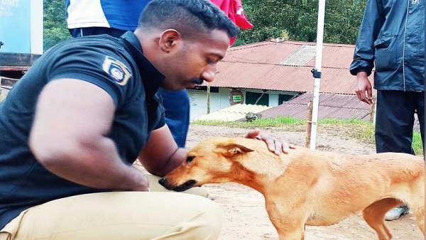 रेस्क्यू टीम की खोजने में की मदद रेस्क्यू टीम की खोजने में की मदद