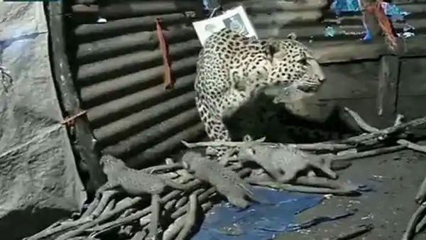 झुग्गी में बच्चे को दिया जन्म