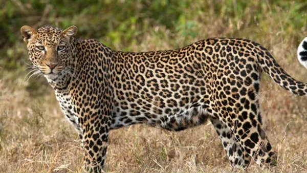 लोगों को इस बात की चिंता