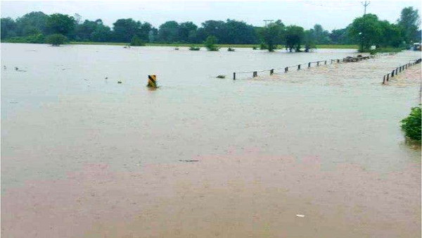 गुजरात के इन जिलों में जलभराव