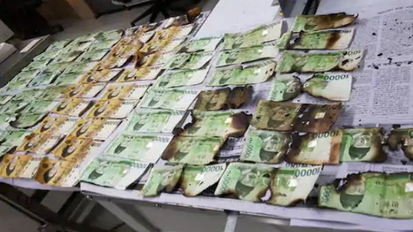 ओवन में सुखाने का प्लान फेल ओवन में सुखाने का प्लान फेल