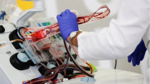 सबसे बेहतर और मानक माना जाता है RT-PCR मोड परीक्षण सबसे बेहतर और मानक माना जाता है RT-PCR मोड परीक्षण