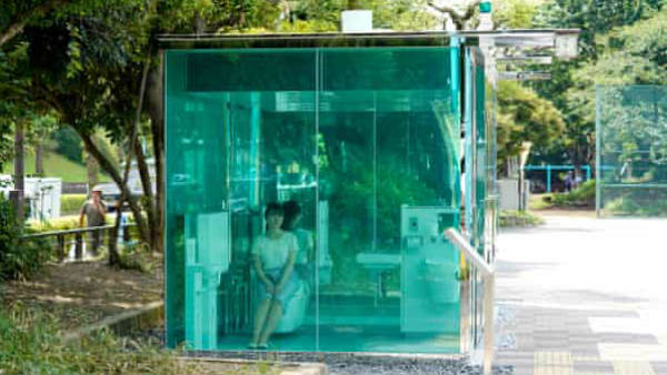 इस आधार पर डिजाइन किया गया है टॉयलेट