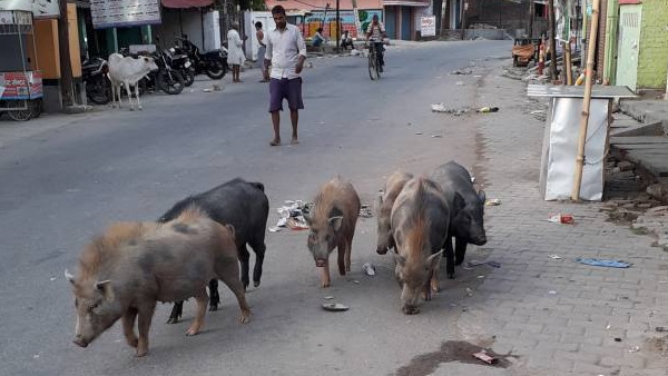 कई बार दी जा चुकी है चेतावनी 