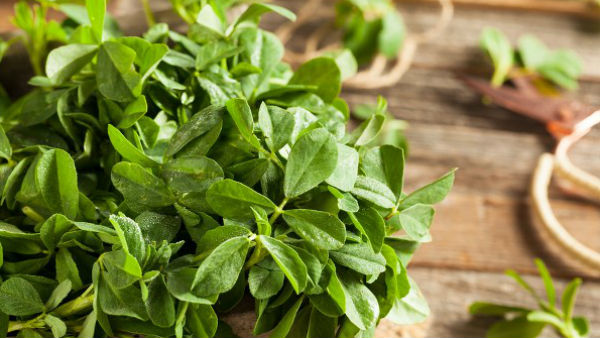 आप सुखी-समृद्धिशाली जीवन जी सकते हैं