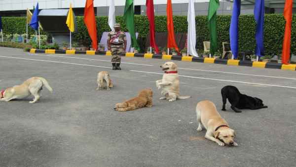 इंडियन ब्रीड के डॉग्स को पीएम ने सराहा