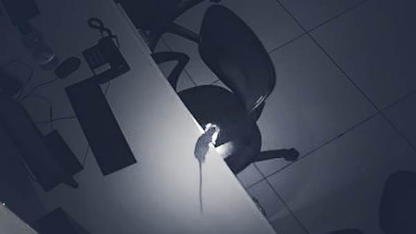 शॉर्ट सर्टिक से नहीं लगी आग