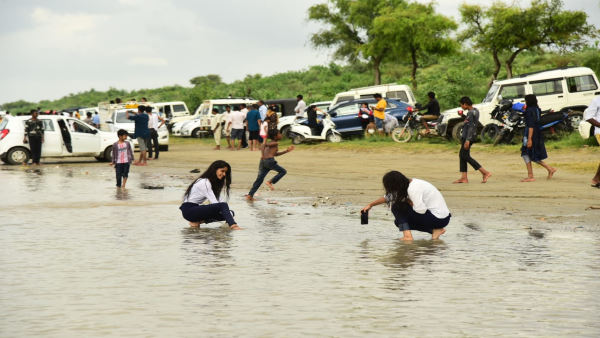  कैसे पहुंचे रेडाणा ?