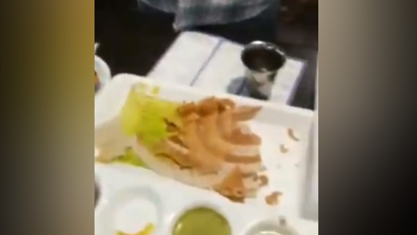 'और ये छिपकली आधी है' 'और ये छिपकली आधी है'