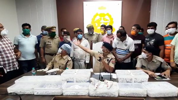 5 चढ़े पुलिस के हत्थे