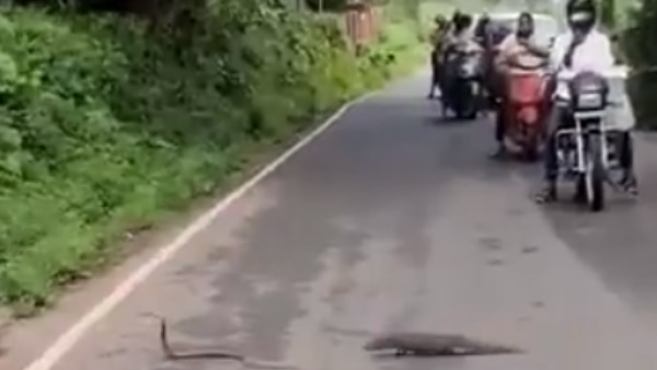 IFS अधिकारी ने पोस्ट की वीडियो