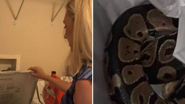 स्किन प्रिंट वाला कपड़ा समझा