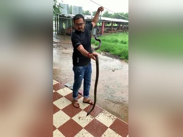 चार तरह के सांप जहरीले हेाते हैं