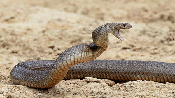 यूजर्स ने किए मजेदार कमेंट