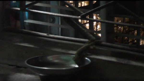 चाय पीने की लगी लत